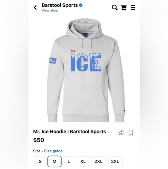 Champion Other - Champion "Mr Ice" Hoodie NEW